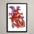 Heart Anatomy Fine Art Illustration Print