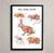 Small Mammal Anatomy Fine Art Print