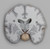 Brain Multiple Frontal Sections Model