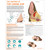 The Anatomy of The Canine Ear Chart