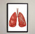 Respiratory System Anatomy Fine Art Illustration Print