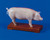 Pig Anatomy and Acupuncture Model