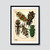 E.A. Seguy Insectes Plate 4 Fine Art Print