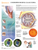 Understanding Glaucoma Laminated Chart