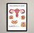 Female Reproductive Anatomy Fine Art Print