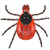 Tick parasite model is ideal for vet clinics