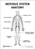 Nervous System Anatomy Poster PDF