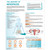 The Anatomy of Menopause Poster