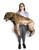 Life-Sized Canine Positioning Training Manikin