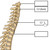 Spine Anatomy Worksheet - Interactive PDF