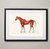 Vintage Horse Superficial Layer of Muscles Fine Art Print