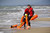 Lifeguard Surf Rescue
