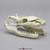 Python Skull Model