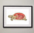 Framed Tortoise Anatomy Fine Art Illustration