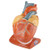 Giant Heart with Pericardium