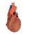 Heart with distal trachea, carina, and primary bronchi 3D anatomy model