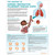 The Anatomy of COPD Chart/Poster