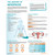 The Anatomy of Menopause Chart/Poster