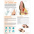 The Anatomy of The Canine Ear Chart/Poster - Laminated