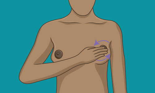 An  illustration showing how to do a breast self-examination 