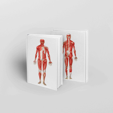 Muscle Anatomy Journal / Notepad