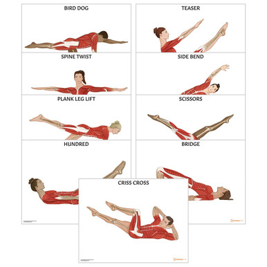 Stream View PDF Healing Pilates: Pilates - Successful Guide to Pilates  Anatomy, Pilates Exercises, and Tota by Alexialeejaniyah