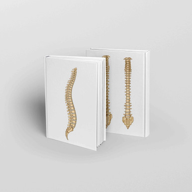 Spine Anatomy Journal / Notepad