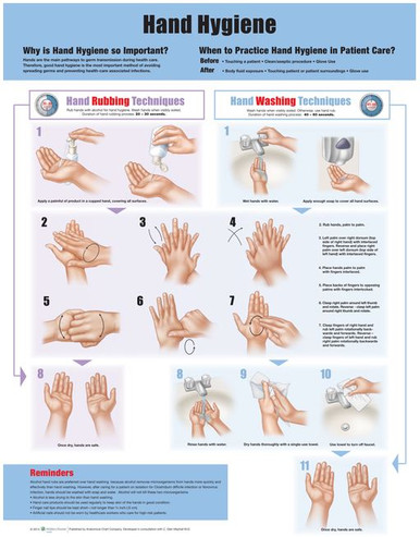 Hand Hygiene Chart / Poster - Laminated