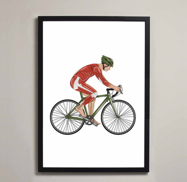 Cycling Anatomy Fine Art Illustration Print (Male)