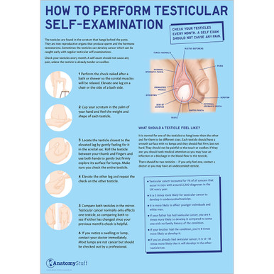 How to Perform Testicle Self-Examination (TSE) Poster - Laminated