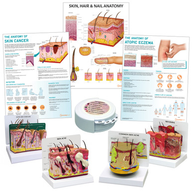 Skin Anatomy & Pathology Collection