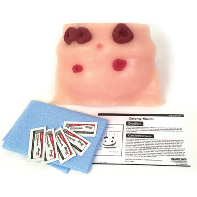 Ostomy Care Training Model