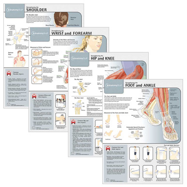 Strengthening Exercises 4 Chart Collection (Laminated)