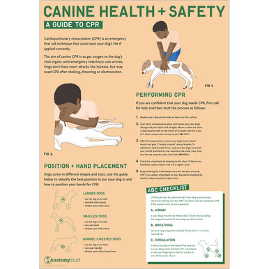 Canine Health & Safety: A Guide to CPR for Dogs Poster