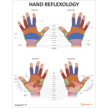 Hand Reflexology Chart / Poster - Laminated