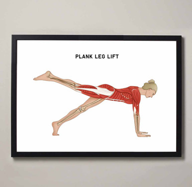 Pilates Plank Leg Lift Fine Art Illustration Print