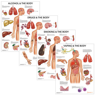 Substances and The Body 4 Poster Collection (Laminated)