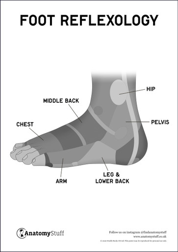 Foot Reflexology Poster PDF