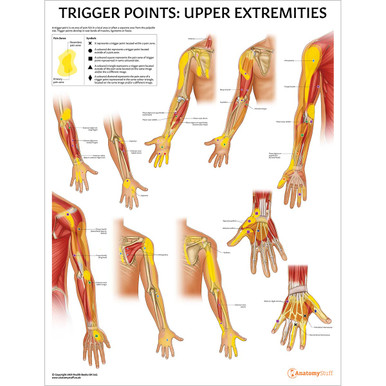 25+ Lower Back Trigger Points Chart