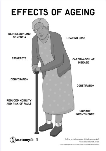 Effects of Ageing Poster PDF