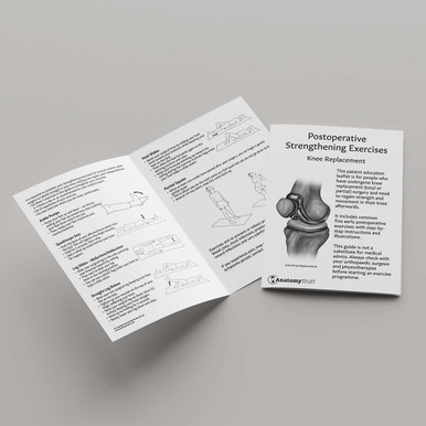 Knee Replacement Exercises Leaflet (Printable PDF)