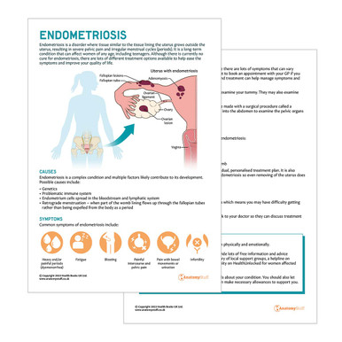 Endometriosis Patient Education Handout (Printable PDF)