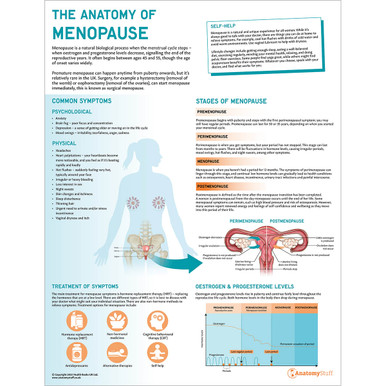 The Anatomy of Menopause Chart / Poster - Laminated