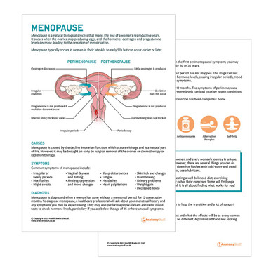 Menopause Patient Education Handout (Printable PDF)