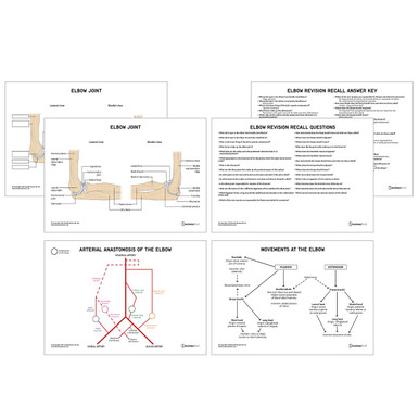 Elbow Anatomy Revision Worksheets (Interactive & Printable PDFs)