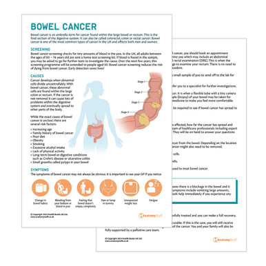 Bowel Cancer Patient Education Handout (Printable PDF) | AnatomyStuff