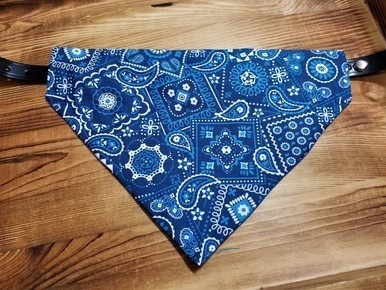 paisley dog bandana