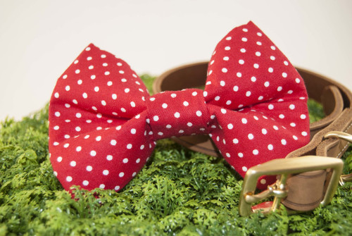Red Polka Dot handmade pet bow tie with double elastic loops for dog collar attachment
