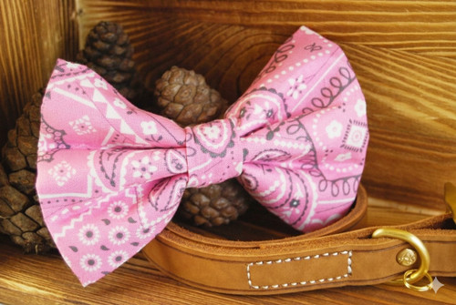 Pink Paisley Pet Bow Tie