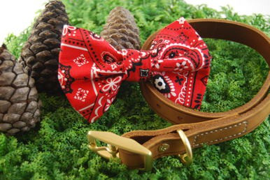 Red Paisley handmade pet bow tie with double elastic loops for dog collar attachment